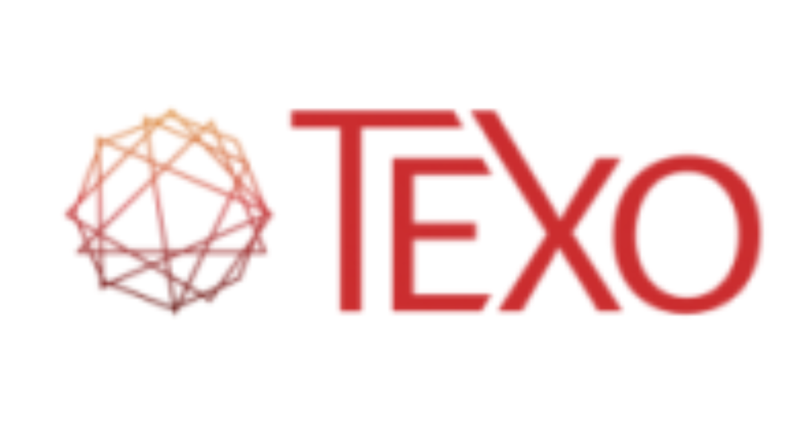 Texo logo